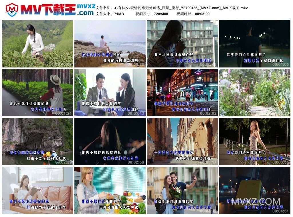 心有林夕-爱情的牢无处可逃_国语_流行_YF700436